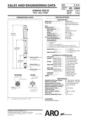 650943-X4X-B 2-Ball Piston Pump