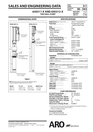 65031X-X N Series 2-Ball Piston Pump