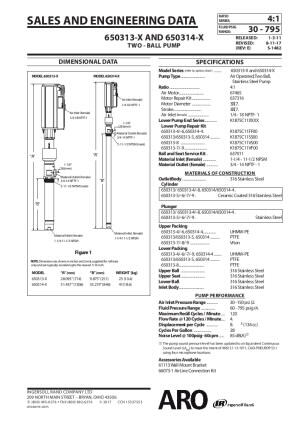 65031X-X N Series 2-Ball Piston Pump