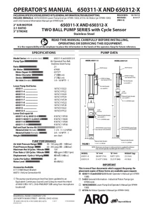 65031X-X N Series 2-Ball Piston Pump