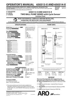 65031X-X N Series 2-Ball Piston Pump