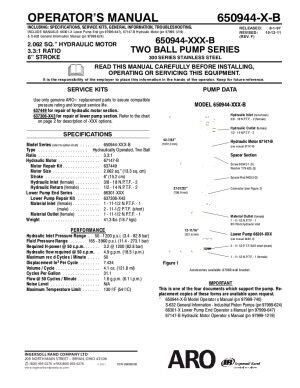 650944-XXX-B 2-Ball Piston Pump