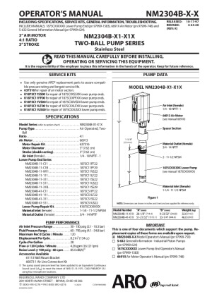 NM2304X-X1-X11 2-кульковий поршневий насос