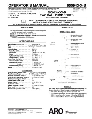 650943-X4X-B 2-Ball Piston Pump