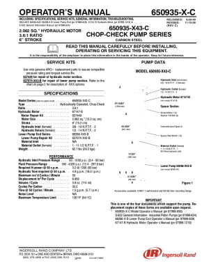 650935-X43-C Chop-Check Piston Pump